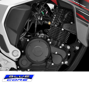 Yamaha Fazer Fuel Injected Engine