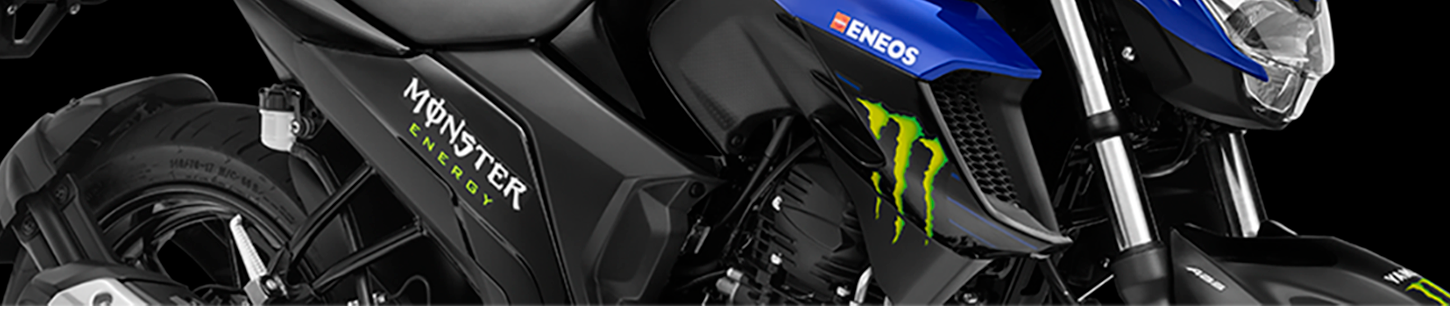 YAMAHA FZ25 Graphics