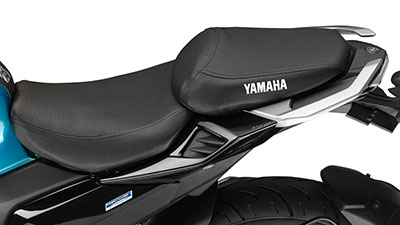 FZS 25 Seat Cover