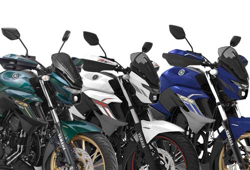 Yamaha FZS 25 BS VI Colour Scheme