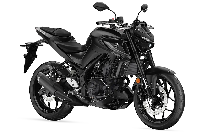 Yamaha fz 03 top